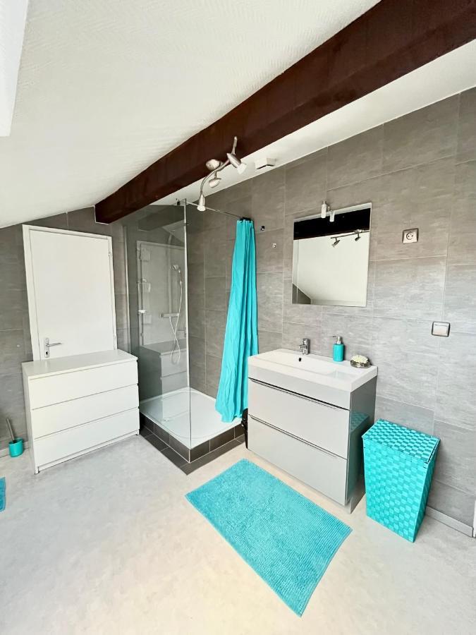 Pin'S - Magnifique Appartement Sarrebourg Εξωτερικό φωτογραφία