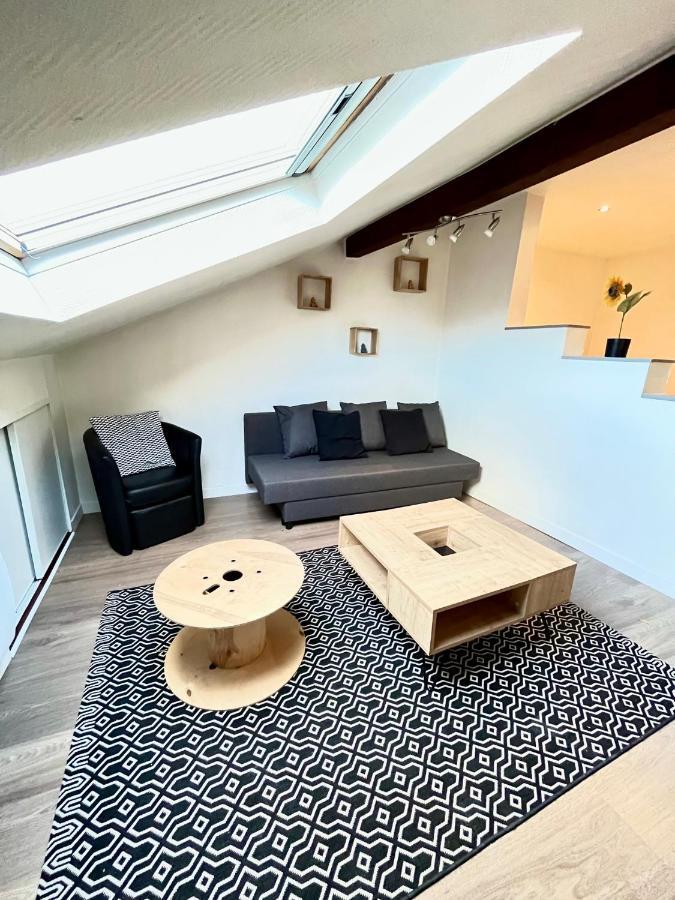 Pin'S - Magnifique Appartement Sarrebourg Εξωτερικό φωτογραφία
